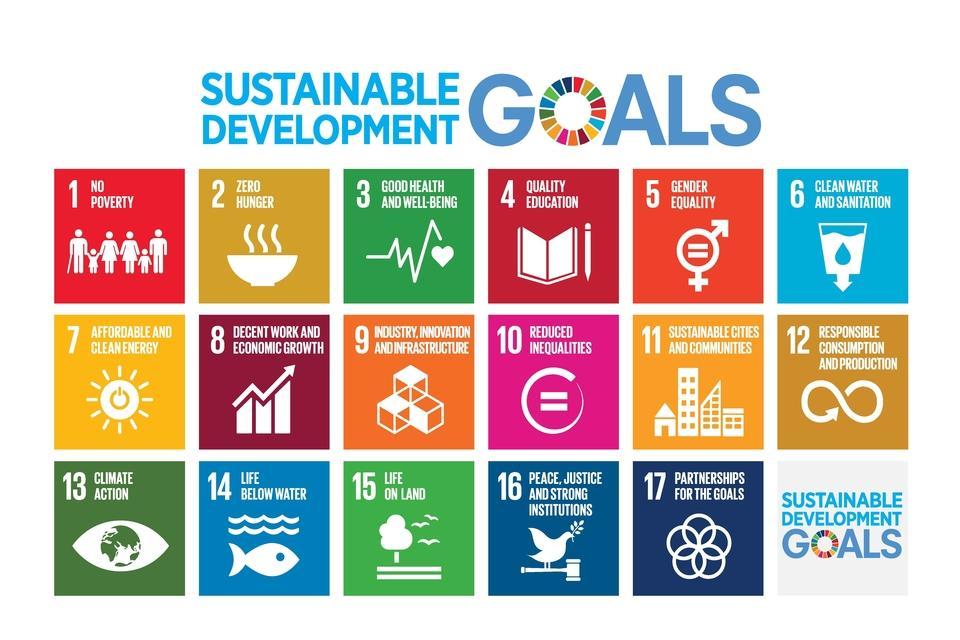 UN Global Goals 