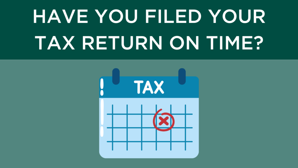 What happens if you don't file your tax return before 31st January?